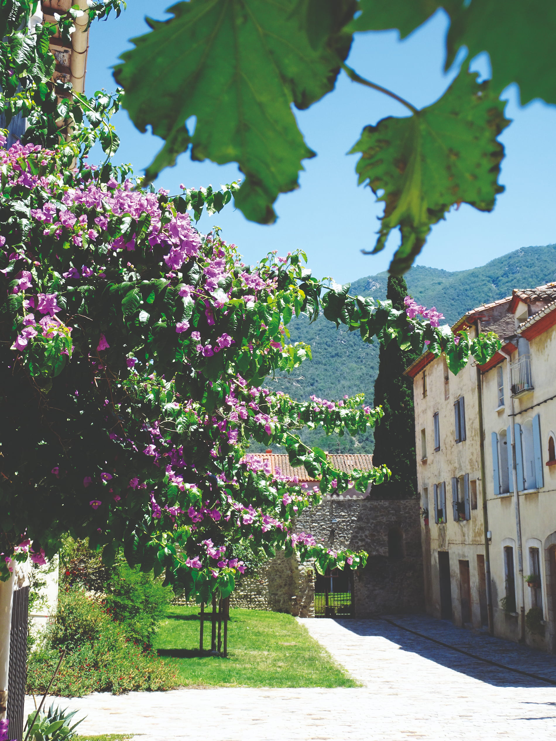 Numaa - Domaine Cerisaé – terrains à bâtir dans un cadre naturel à Amélie-les-Bains