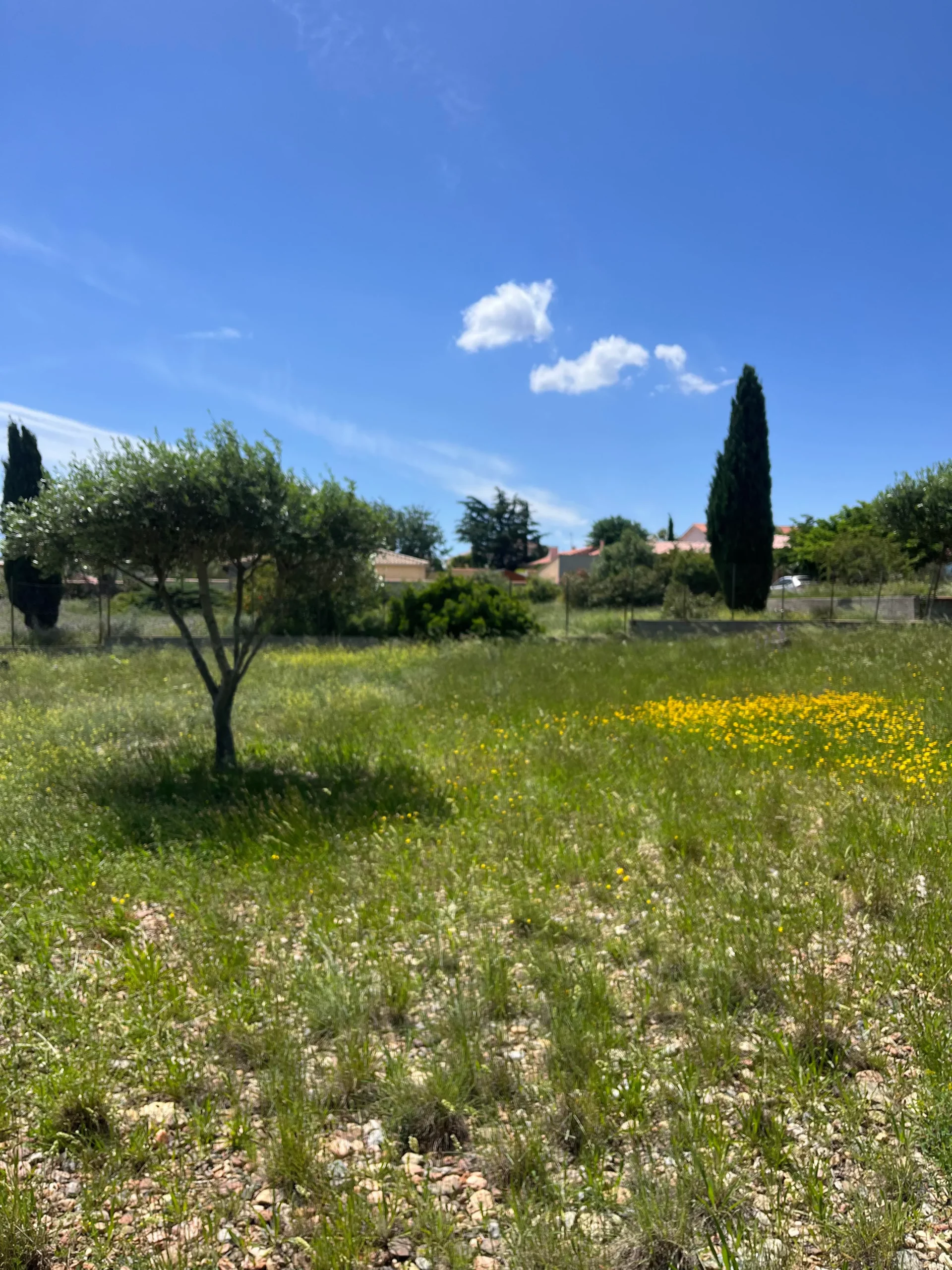 NUMAA - Le Green – terrains à bâtir à Saint-Cyprien près de Perpignan entre mer et verdure