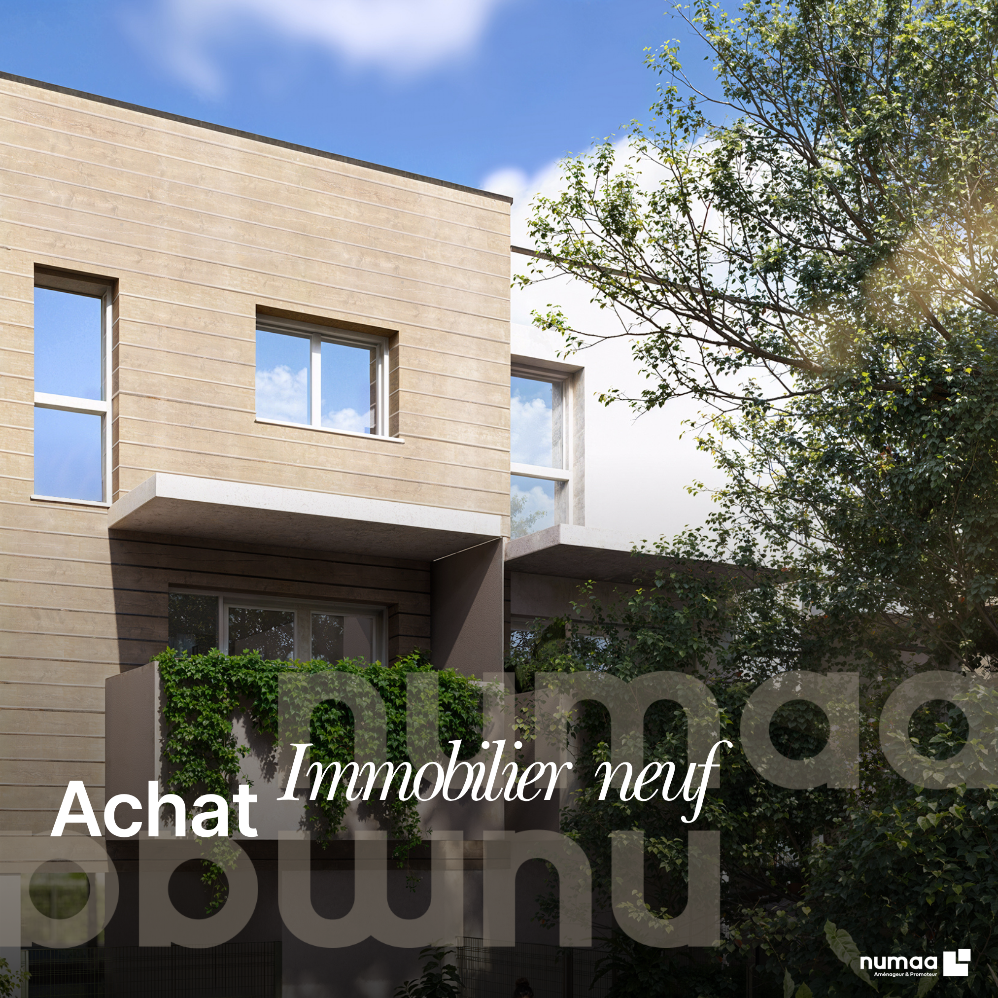 immobilier neuf