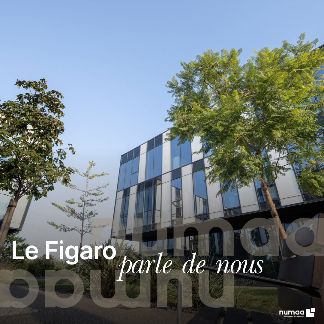 Le Figaro parle de nous Numaa Immobilier